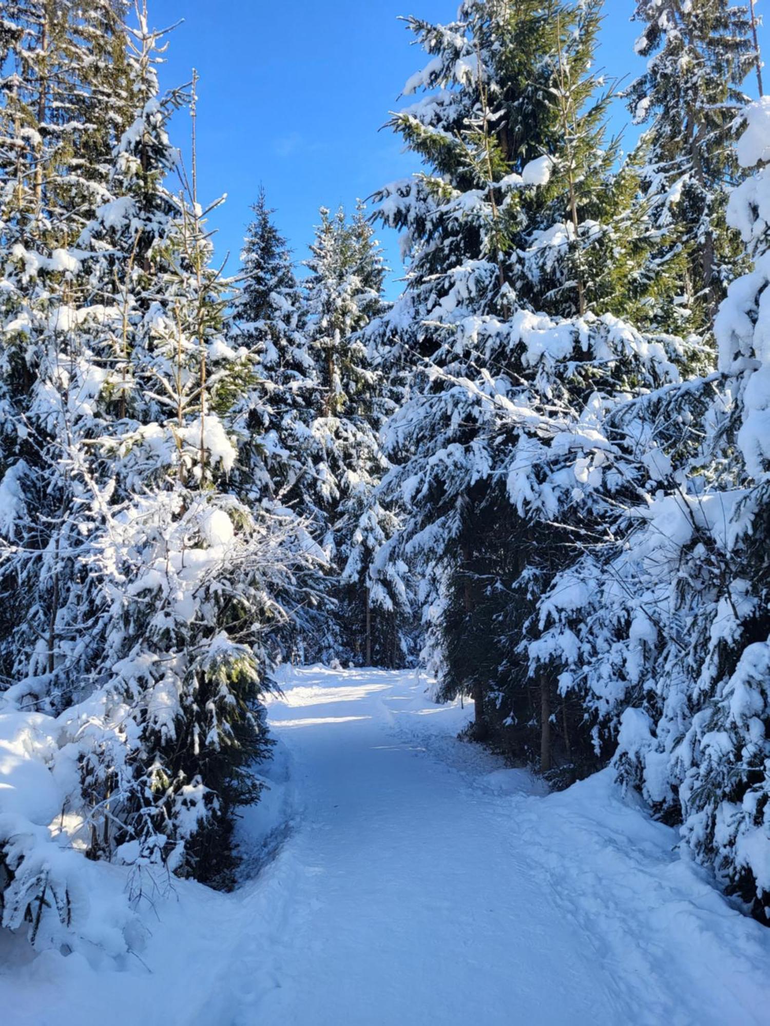 Pension Laerchenbrunn Westendorf Bagian luar foto