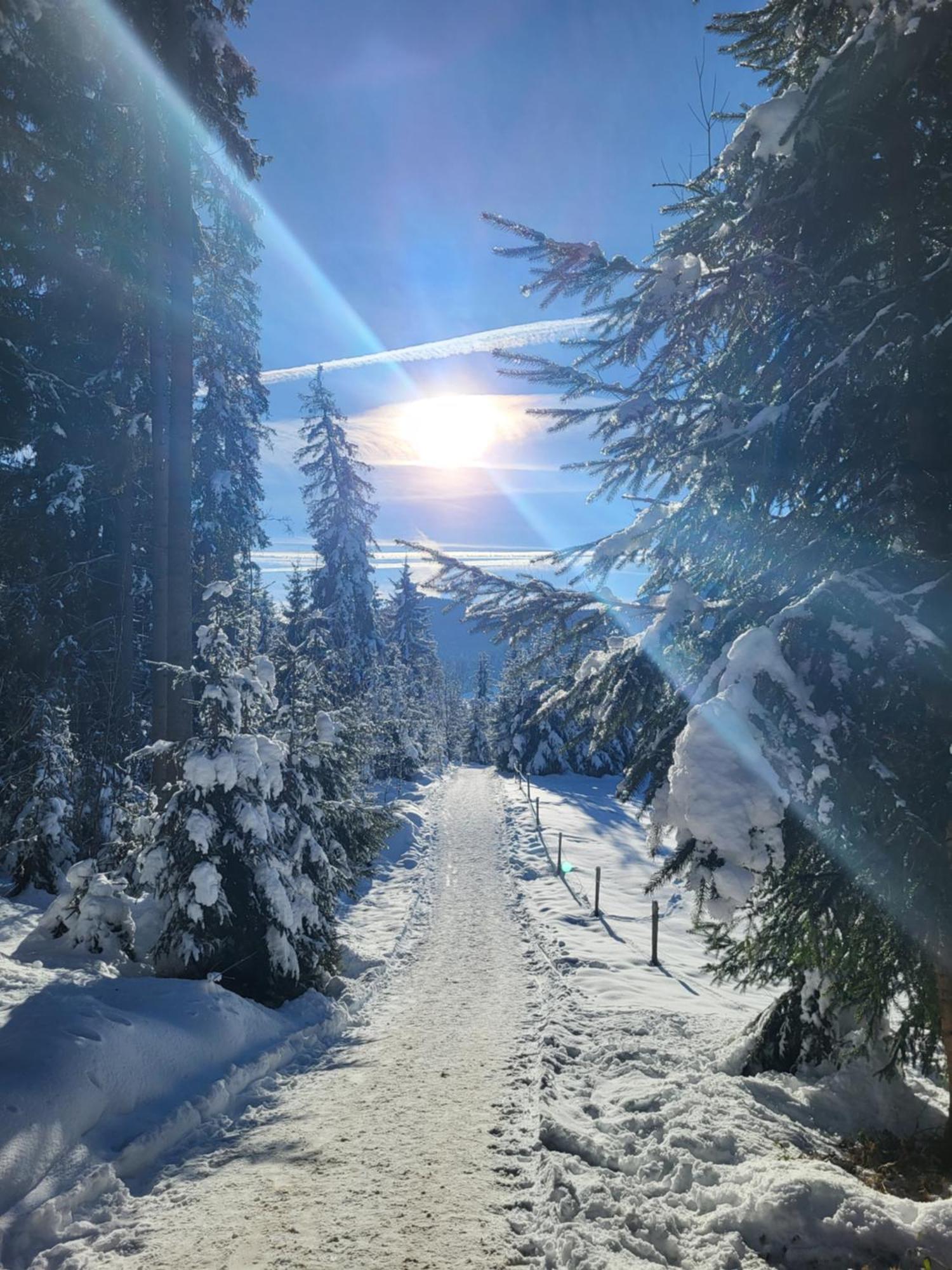 Pension Laerchenbrunn Westendorf Bagian luar foto