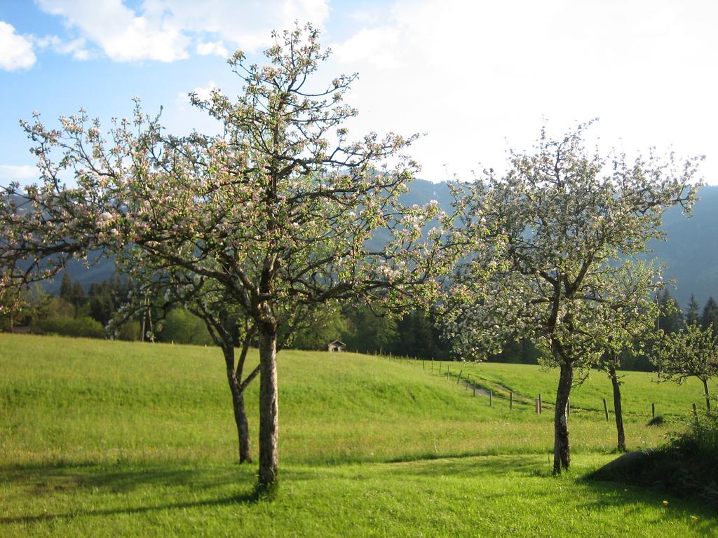 Pension Laerchenbrunn Westendorf Ruang foto