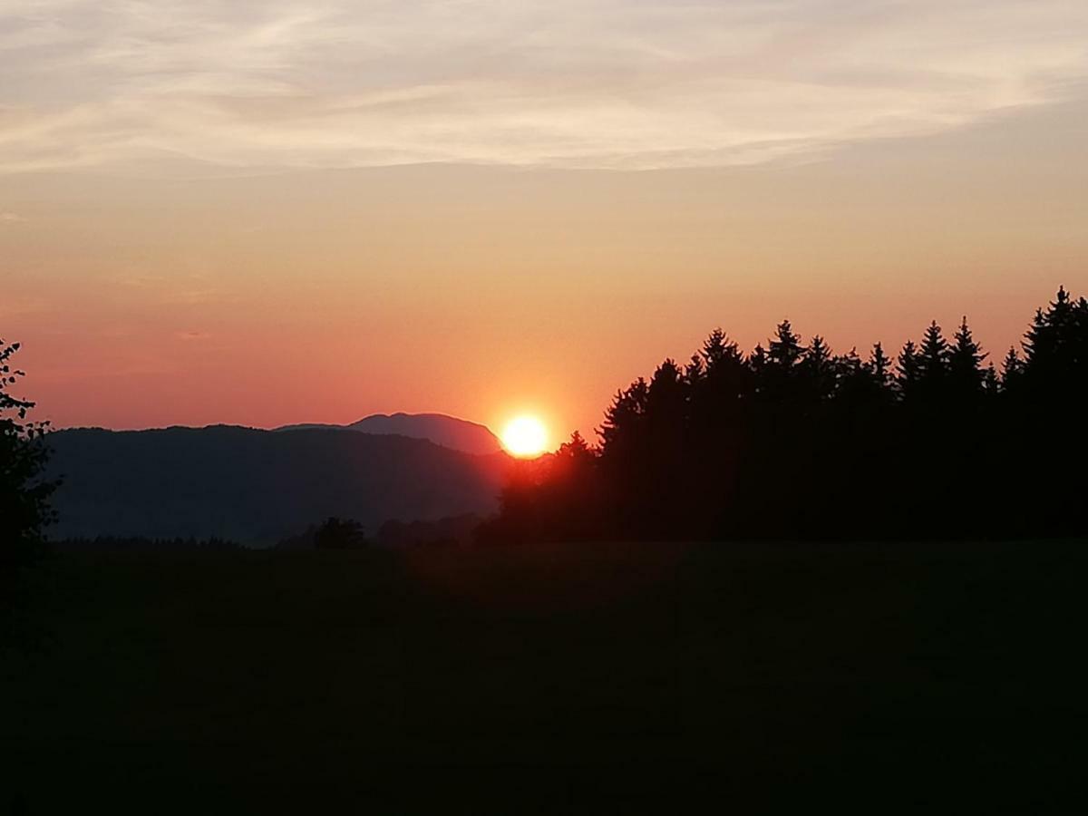 Pension Laerchenbrunn Westendorf Bagian luar foto