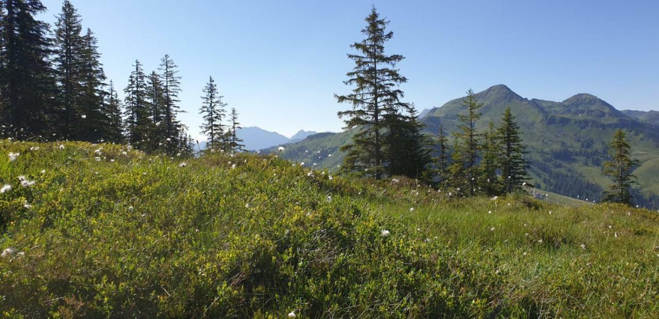 Pension Laerchenbrunn Westendorf Bagian luar foto